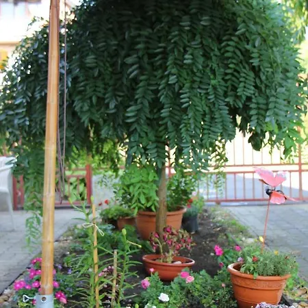 Small House Pensión