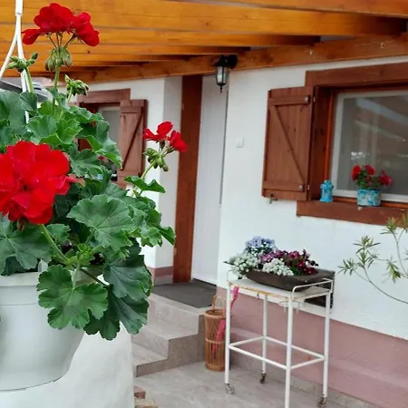 Pensión Small House